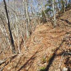 170304_p06.jpg
