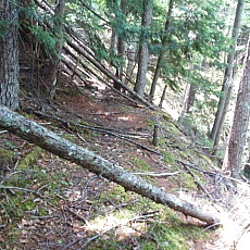 170617_p10.jpg
