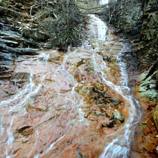 180329_p06.jpg