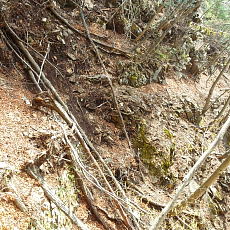 180412_p24.jpg