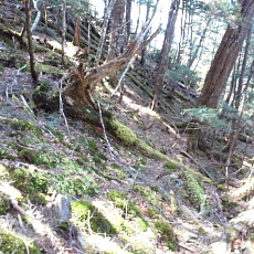 180428_p29.jpg