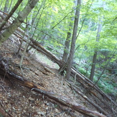 180603_p21.jpg
