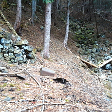 190323_p32.jpg