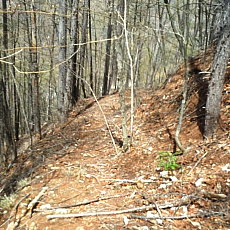 190505_p40.jpg