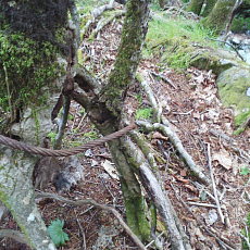200605_p29.jpg