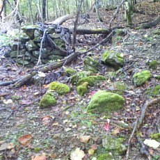 201018_p13.jpg