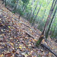 201018_p16.jpg