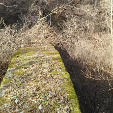 201206_p54.jpg