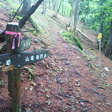 210522_p07.jpg