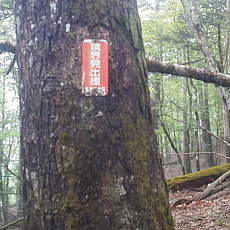 210522_p32.jpg
