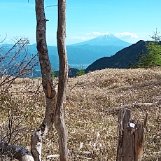 220528_p60.jpg