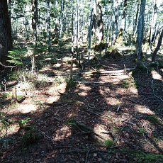 221028_p03.jpg