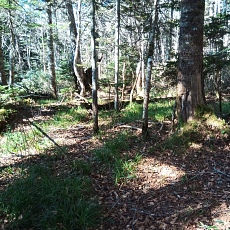 221028_p11.jpg