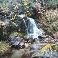 221014_p14.jpg