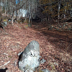 221127_p30.jpg