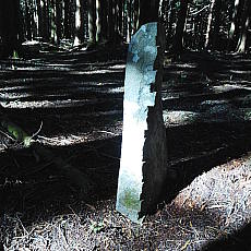 211020_p17.jpg