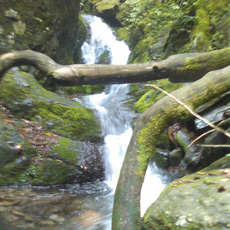 110815_p05.jpg