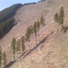 130414_p02.jpg