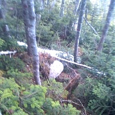 130606_p17.jpg