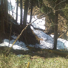 140427_p09.jpg