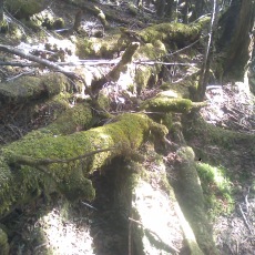 140517_p03.jpg
