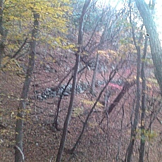 141103_p22.jpg