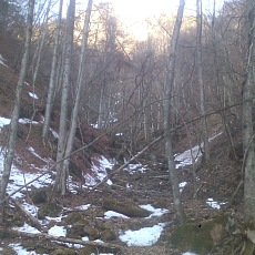 150331_p05.jpg