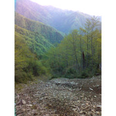 150523_p04.jpg