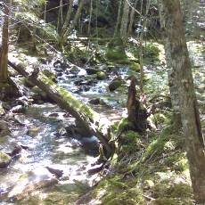 150628_p09.jpg