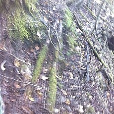 150919_p08.jpg