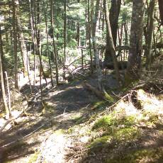 160505_p06.jpg