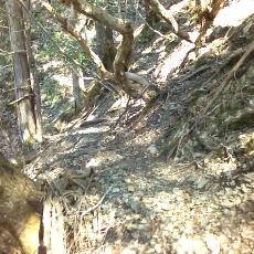 160505_p13.jpg