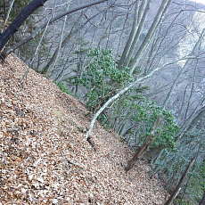 170203_p14.jpg