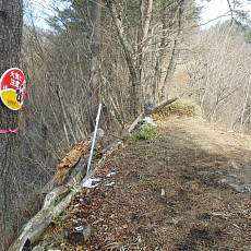 170304_p15.jpg