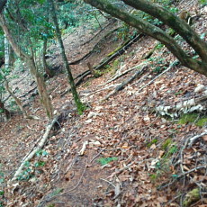 170429_p28.jpg