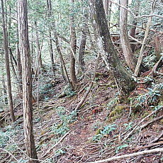 170519_p07.jpg