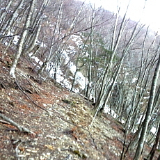 180303_p06.jpg