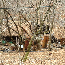 190323_p24.jpg