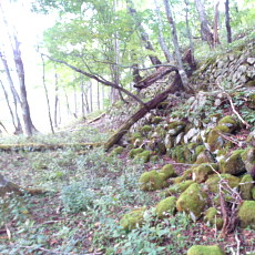 201004_p41.jpg
