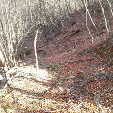 201206_p29.jpg