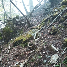 220515_p11.jpg