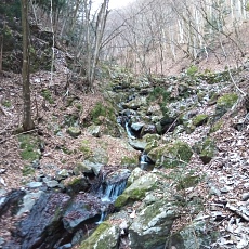230304_p02.JPG