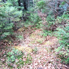 221028_p36.jpg