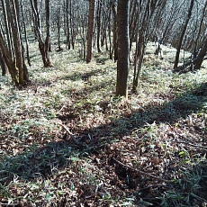 221127_p07.jpg