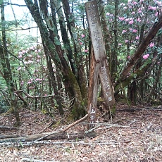 230520_p02.jpg
