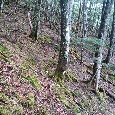 230520_p03.jpg
