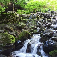 230618_p07.jpg