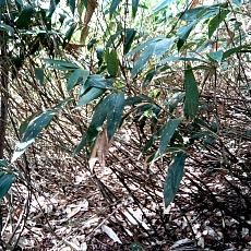 241022_p17.jpg