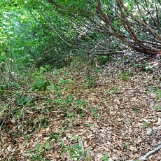 250629_p08.jpg