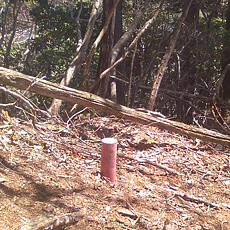 130506_p10.jpg